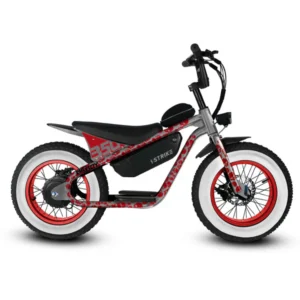 Big Boy 16” by Throne cycles | 36V 350W | Fat Tire E-Bike for Kids/Youth Riders