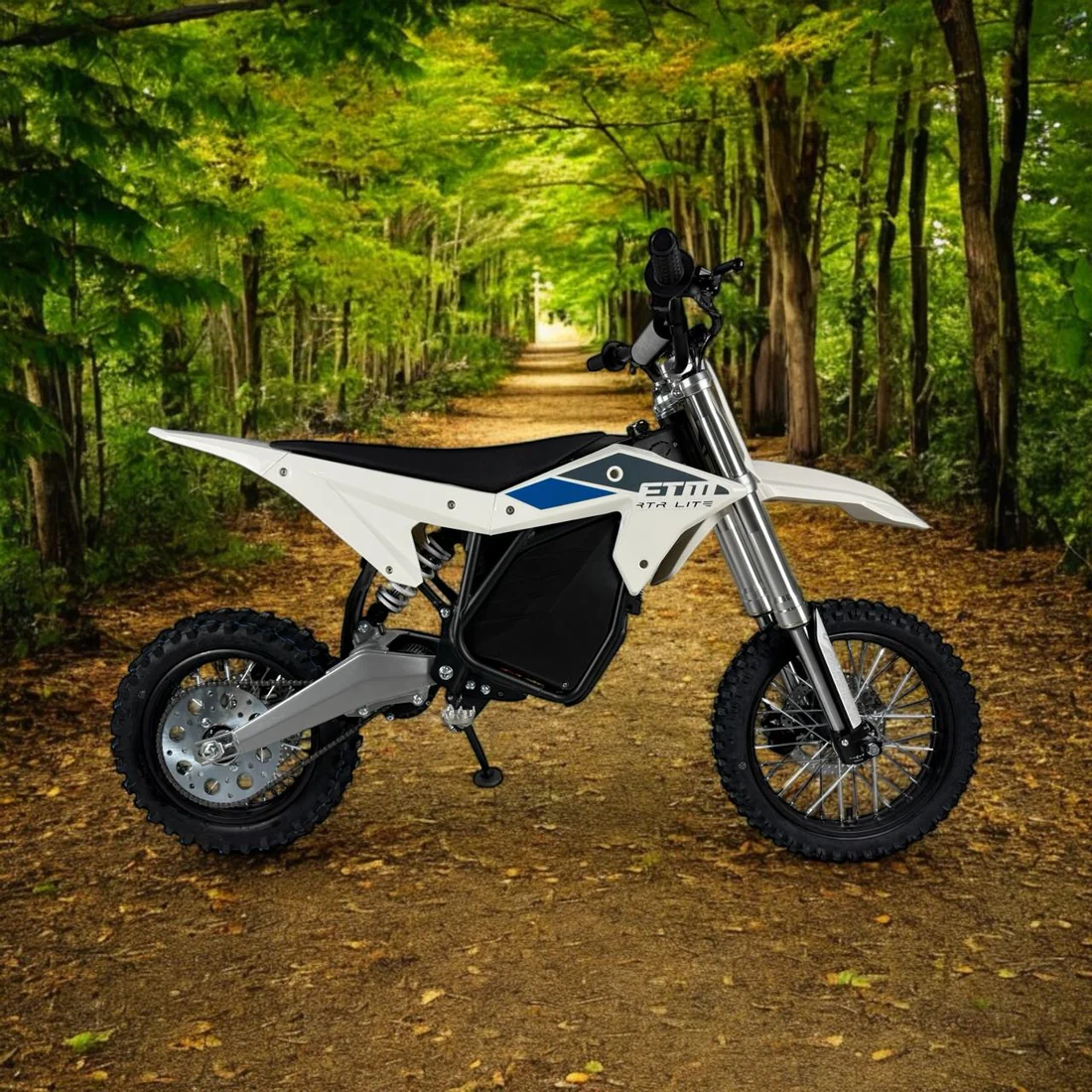 Electro & Co ETM RTR Lite 60v Electric Pit-Bike for Adults & Kids - Image 2