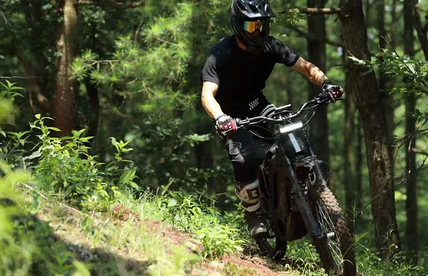 E Ride Pro S: 17" 72V 8KW 30AH | Electric Dirt Bike for Kids & Adults - Image 2